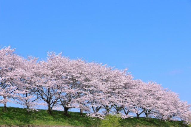 5年生の夏までの学習で重要な単元とは